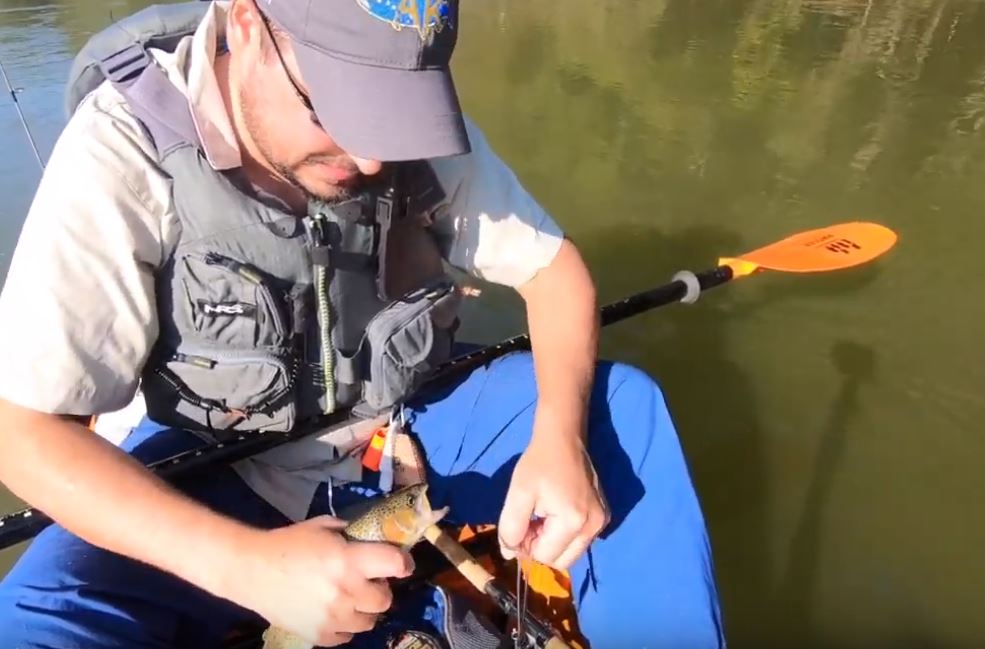 The Ideal Trout Tackle Box for the Chattahoochee Tailwater